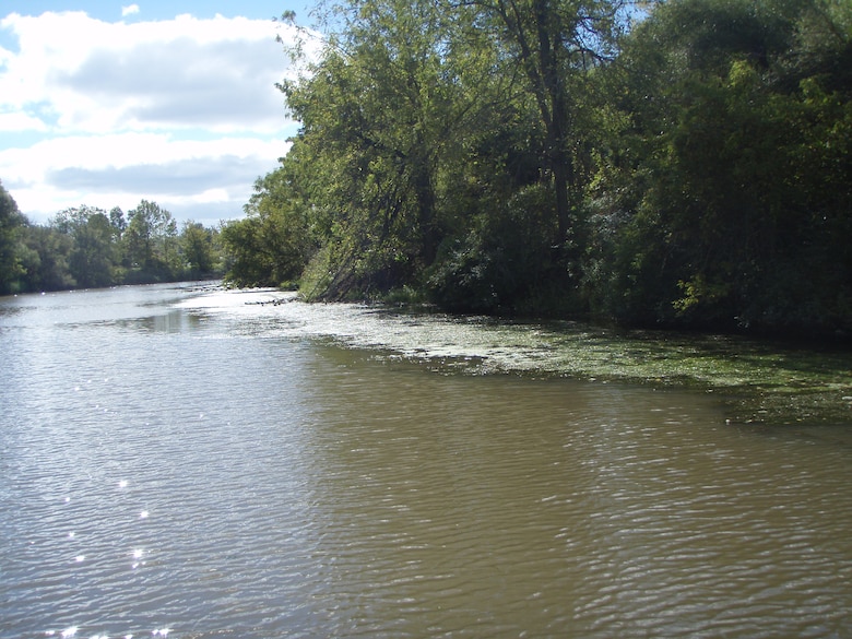 Dense hydrilla beds that have formed adjacent to the banks of the Erie Canal, September 2013.