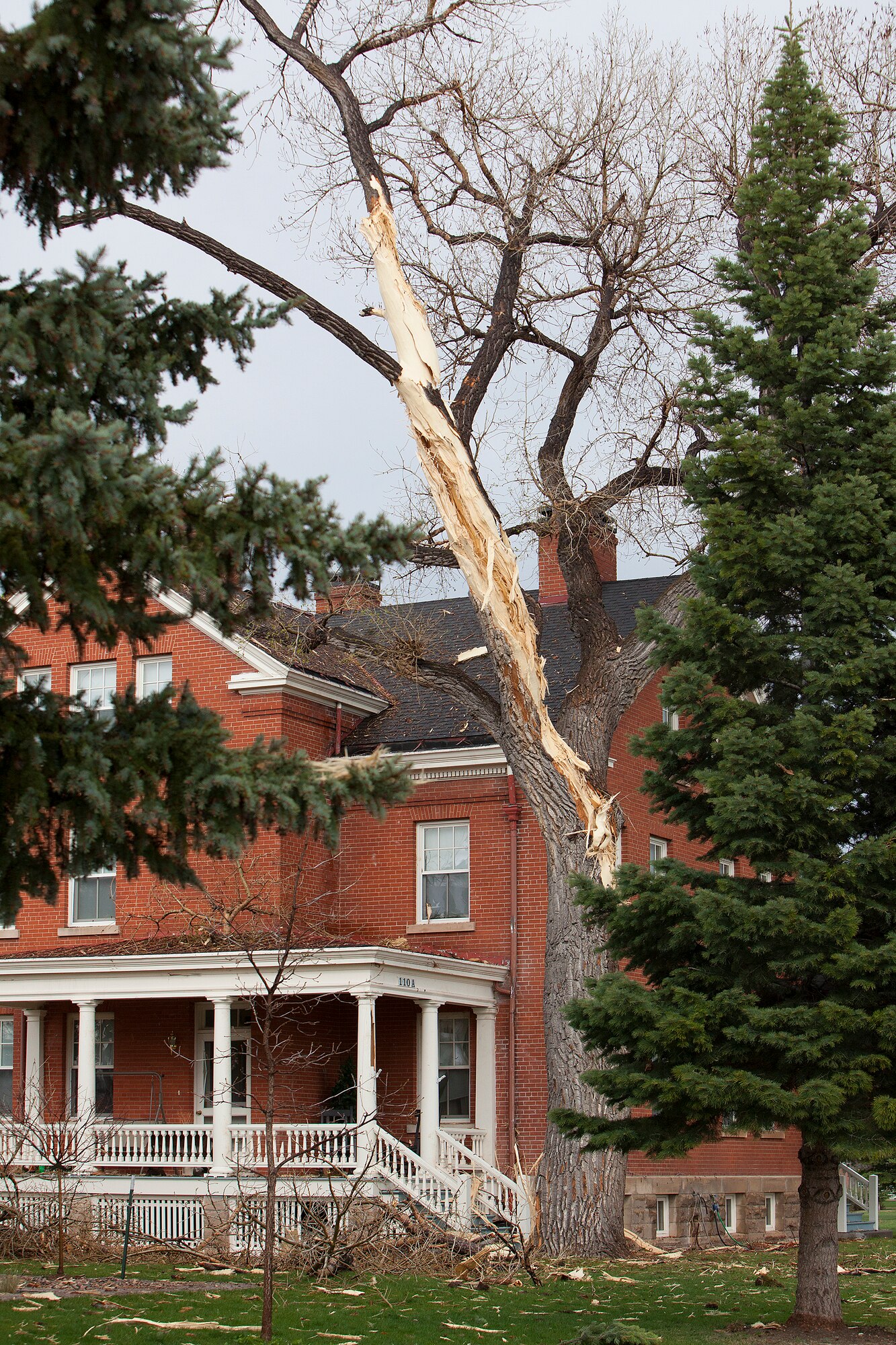 140507-F-JW079-054
A tree outside Quarters 110 on Fort Warren Avenue on F.E. Warren Air Force Base shows its scars after being struck by lightning May 7, 2013. Flying wood and the lightning’s electrical charge caused damage to four housing unit. Residents were forced out of their homes for three days. (U.S. Air Force photo by R.J. Oriez)
