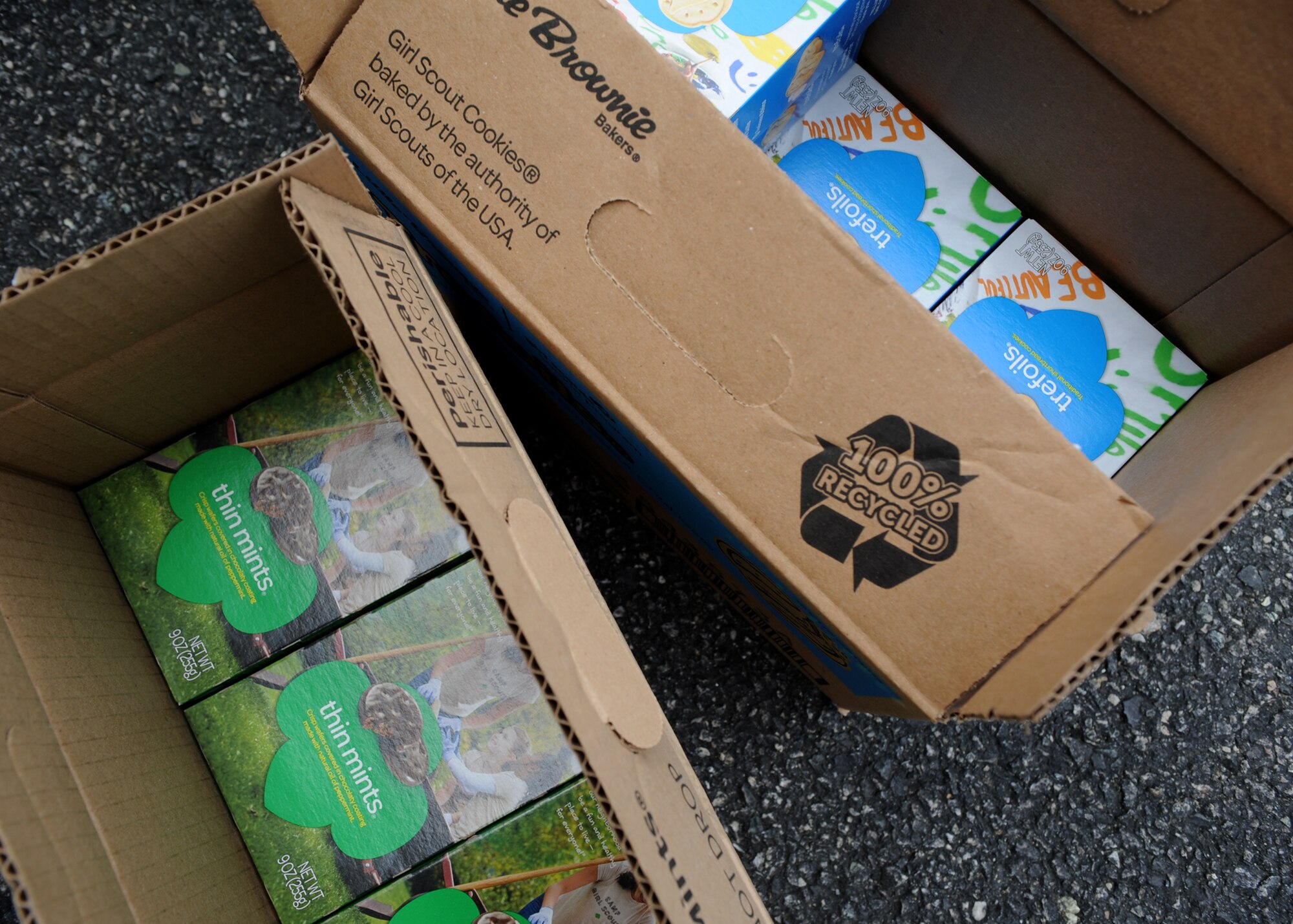 Cookies donated by the Chesapeake Bay Girl Scout Council sit on the pavement waiting to be loaded into a USO Delaware van May 13, 2014 at the Air Mobility Command Museum on Dover Air Force Base, Del. Approximately 1047 cases of cookies were donated as part of Operation Taste of Home cookie drop that supports military members worldwide. (U.S. Air Force photo/Staff Sgt. Elizabeth Morris)