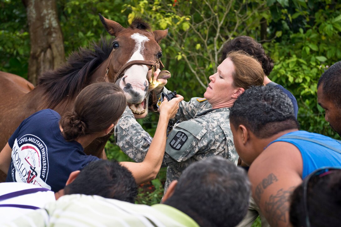 Army Capt. Cherise Neu and Dr. Kristin Camp demonstrate to employees of the Samoan Animal Production and Health Division how to perform equine dentistry during Pacific Partnership 2013 in Apia, Samoa, June 5, 2013. Pacific Partnership is the largest disaster response-preparation mission in the Indo-Asia-Pacific region.  
