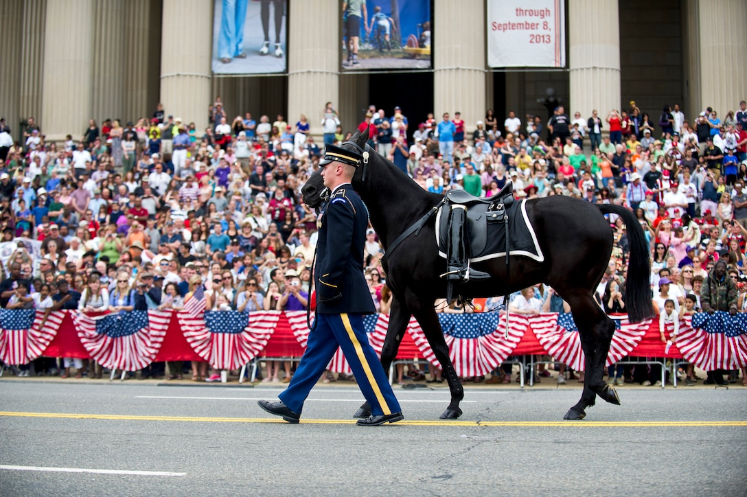 A soldier from the 3rd U.S. Infantry Regiment, known as "The Old Guard," leads a riderless horse during the Memorial Day parade in Washington, D.C., May 27, 2013. The riderless horse carries a soldier's boots reversed in the stirrups.  
