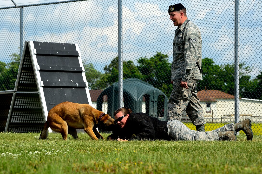 U.S. Air Force Senior Airman Brandon Smith, 633rd Security Forces Squadron Military Working Dog handler, Staff Sgt. Jaimie Harkin, 633rd MWD handler, and Max, 633rd SFS MWD, demonstrate bite training during a National Police Week demonstration at Langley Air Force Base, Va., May 15, 2014. The demo showcased the dogs’ ability to follow obedience commands as well as respond to search commands for detecting narcotics or explosives, or attacking a fleeing suspect. (U.S. Air Force photo by Senior Airman Kayla Newman/Released)