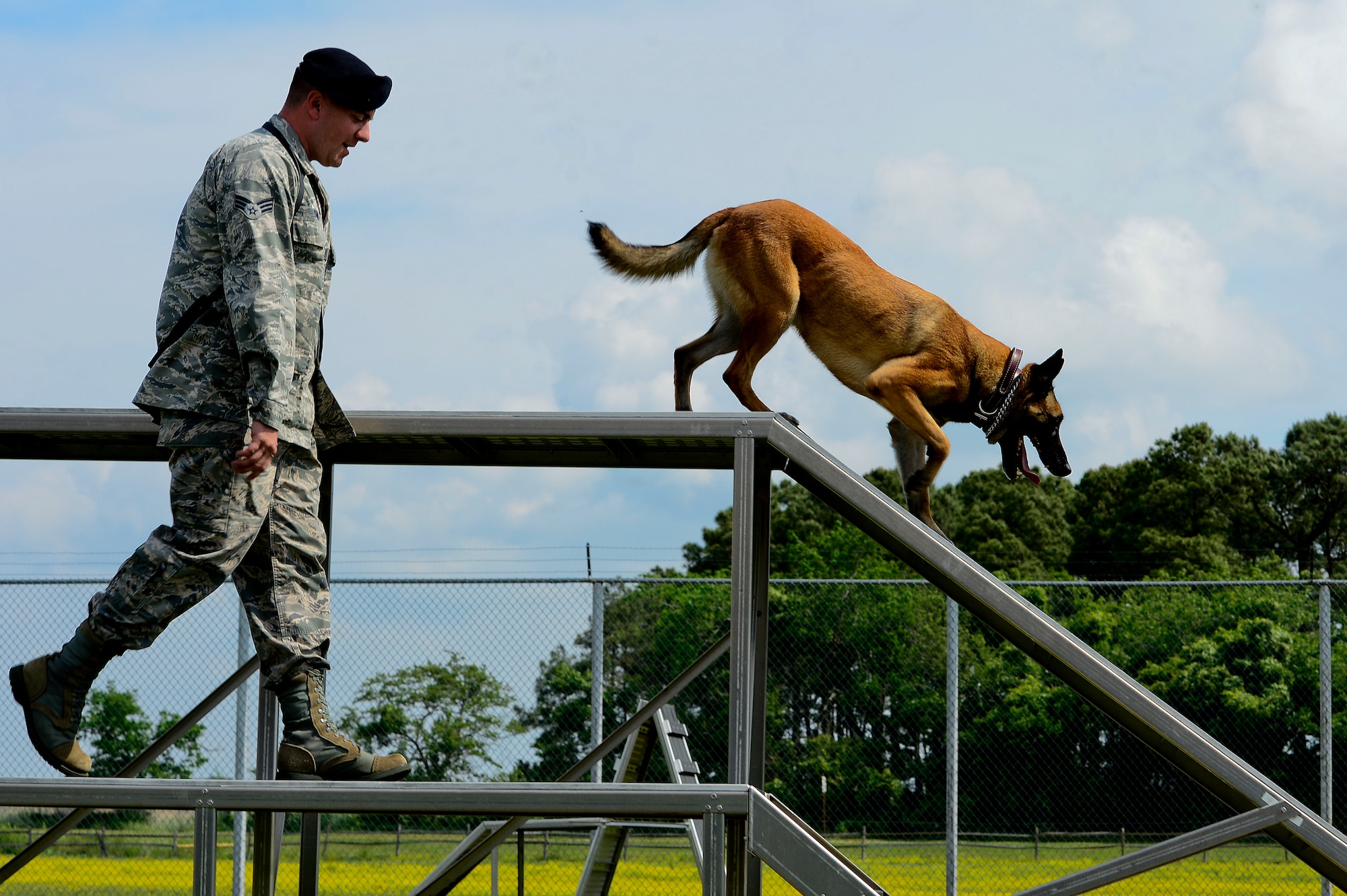 U.S. Air Force Senior Airman Brandon Smith, 633rd Security Forces Squadron Military Working Dog handler, and Max, 633rd SFS MWD, participate in a National Police Week K9 demonstration at Langley Air Force Base, Va., May 15, 2014. The dogs completed the K9 obstacle course in recognition of National Police Week, May 11-17. (U.S. Air Force photo by Senior Airman Kayla Newman/Released)