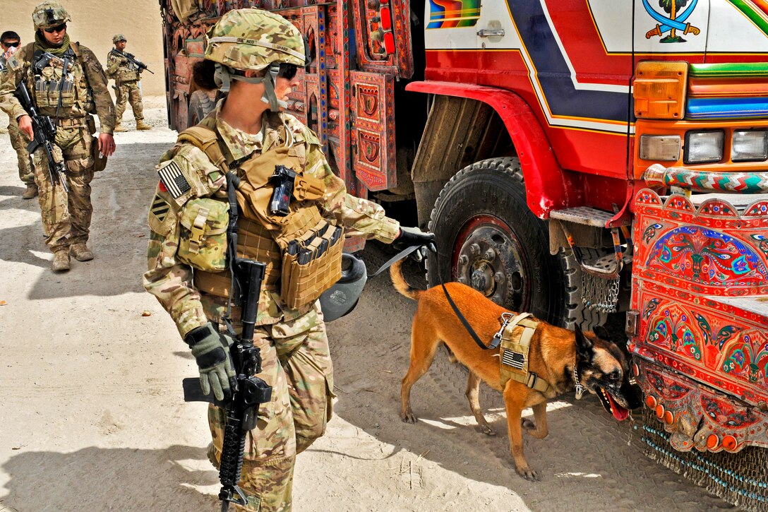 U.S. Army Sgt. Nichole D. Sharp and her military working dog, Hatos, search a truck while assessing security in the new customs yard under construction near the Afghanistan-Pakistan border in the Spin Boldak district in Afghanistan's Kandahar province, April 8, 2013. Sharp, a military police officer, is assigned to the 3rd Infantry Division. 
