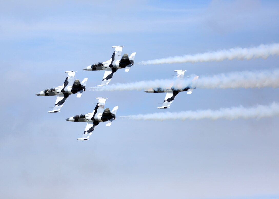 MCAS CHERRY POINT, NC -- The Black Diamond Jet Team performs a rehearsal flight before the 2014 Marine Corps Air Station Cherry Point Air Show.  The Black Diamond Jet Team, comprised of former military pilots, fly L-39s and a T-33 all painted in a distinctive artic camouflage paint scheme. For more details, visit www.cherrypoint.marines.mil or www.cherrypointairshow.com. (Official U.S. Marine Corps photo by Lance Cpl. Grace L. Waladkewics/Released)