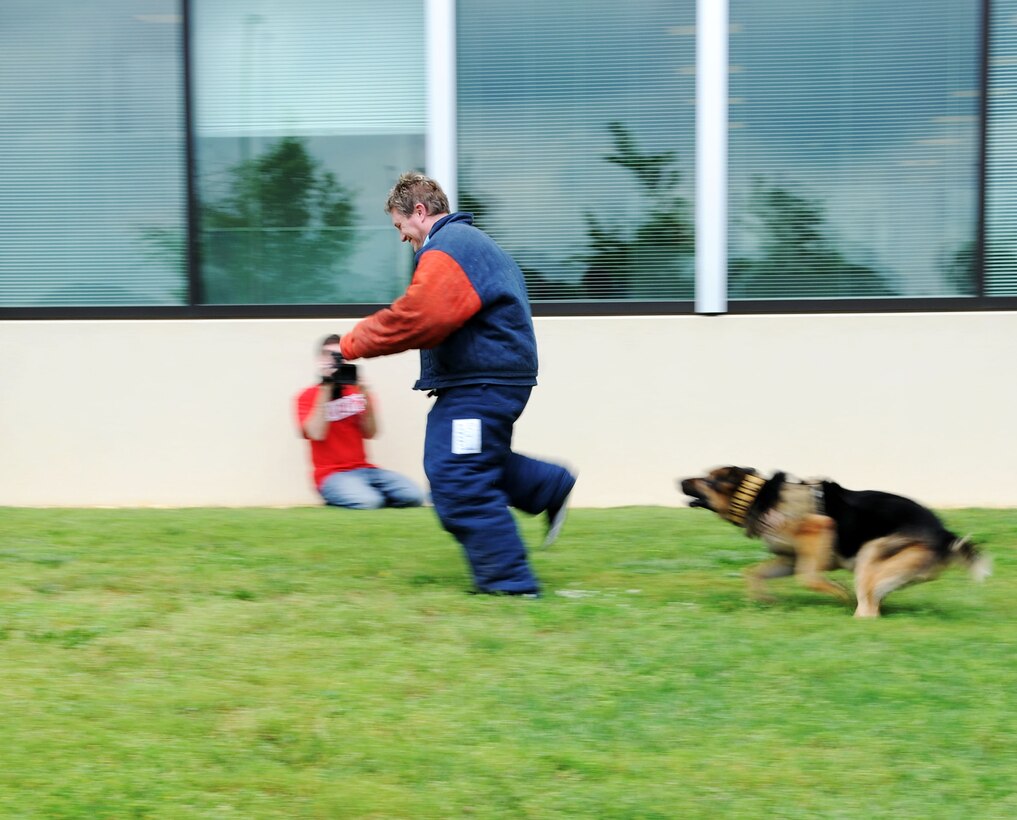 Boxer, a WMZQ radio station DJ, attempts to run from Bak, a military working dog, during their Military Appreciation Week event on Joint Base Andrews, Md., May 15, 2014.(U.S. Air Force photo/Airman 1st Class Ryan J. Sonnier)