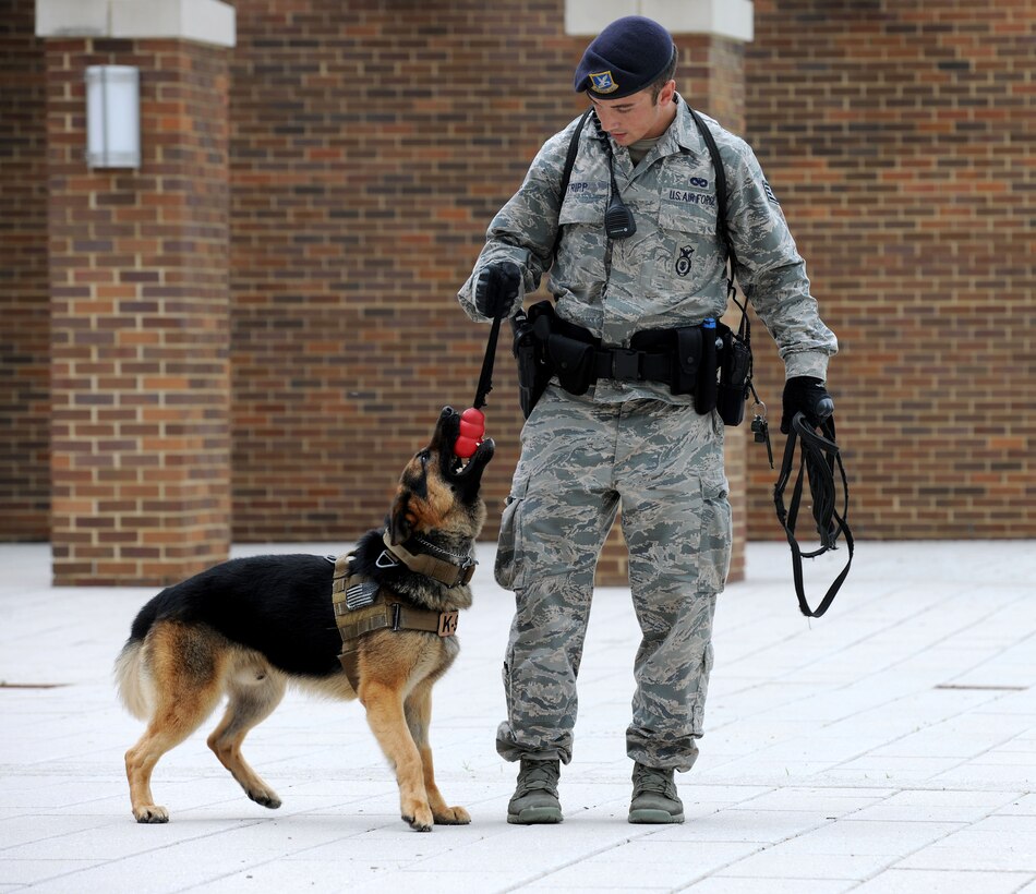 Staff Sgt. Lucas Tripp takes a break with his dog Bak, during a radio station WMZQ’s Military Appreciation Week event at Joint Base Andrews, Md., May 15, 2014. Tripp is an 11th Security Support Squadron military working dog handler and Bak is a German Shepherd detector dog. (U.S. Air Force photo/Airman 1st Class Ryan J. Sonnier)