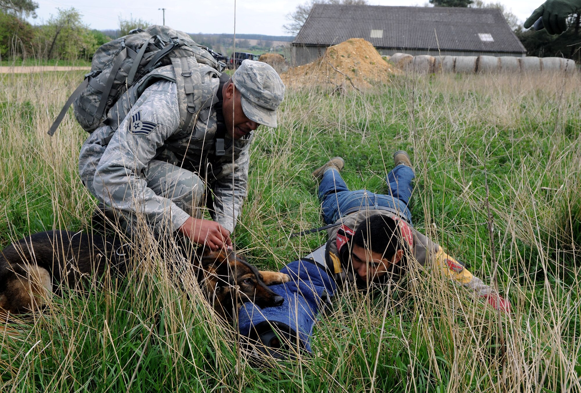 U.S. Air Force Staff Sgt. Matthew Clark, 100th Security Forces Squadron Military Working Dog handler, gains controls of MWD Gina after they subdued U.S. Air Force Senior Airman Gabriel Santiago, 100th SFS MWD handler, during a training exercise April 11, 2014, at Stanford Training Area near Thetford, England. The decoy trains the MWDs in patrol work and acts as the rewarding mechanism within training. (U.S. Air Force photo by Senior Airman Kate Maurer/Released)
