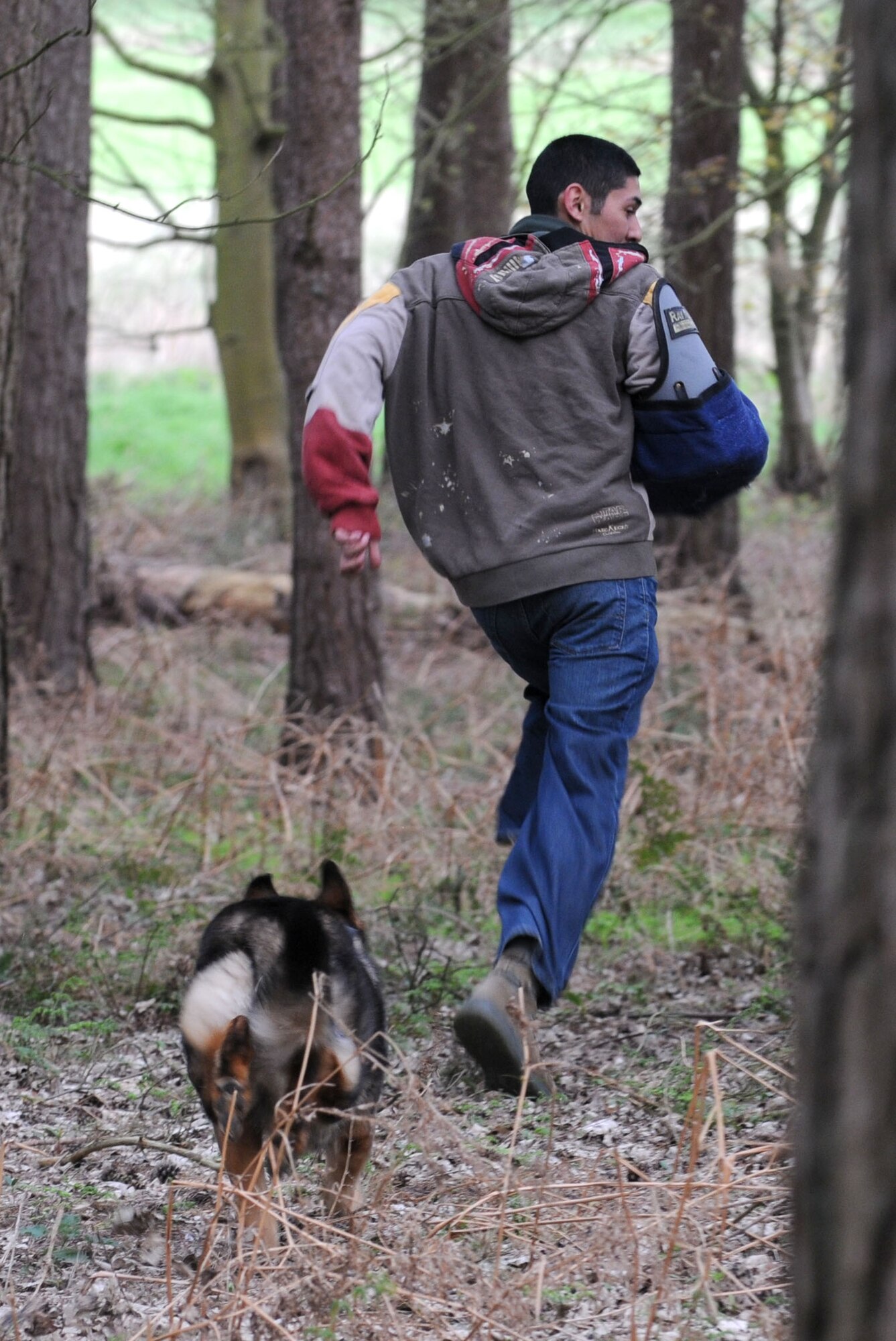 Military Working Dog Gina flushes out U.S. Air Force Senior Airman Gabriel Santiago, 100th Security Forces Squadron MWD handler, from his concealed hiding spot during a patrol exercise April 11, 2014, at Stanford Training Area near Thetford, England. The decoy trains the MWDs in patrol work and acts as the reward mechanism within training. The decoy or the dog’s handler rewards the MWD when he/she displays positive behaviors as a way to reinforce the dog’s good behavior. (U.S. Air Force photo by Senior Airman Kate Maurer/Released)
