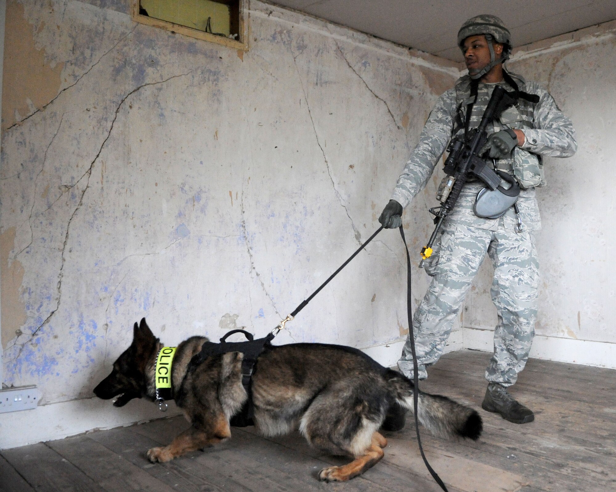 U.S. Air Force Staff Sgt. Matthew Clark, 100th Security Forces Squadron Military Working Dog handler, and MWD Gina search a building for opposing forces during a training exercise April 11, 2014, at Stanford Training Area near Thetford, England. Building searches are broken down into three components: the start, the search, and the alert and challenge. (U.S. Air Force photo by Senior Airman Kate Maurer/Released)