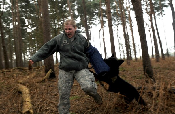 U.S. Air Force Tech. Sgt. Hannah Hobart, 100th Security Forces Squadron Military Working Dog kennel master, attempts to outrun MWD Luc during a scent scout exercise April 3, 2014, at Stanford Training Area near Thetford, England. MWDs train for different scenarios to prepare for deployments. It’s important for them to obtain keen senses so they can detect suspects in numerous ways including scent, sight or sound within various environments. (U.S. Air Force photo by Senior Airman Kate Maurer/Released)