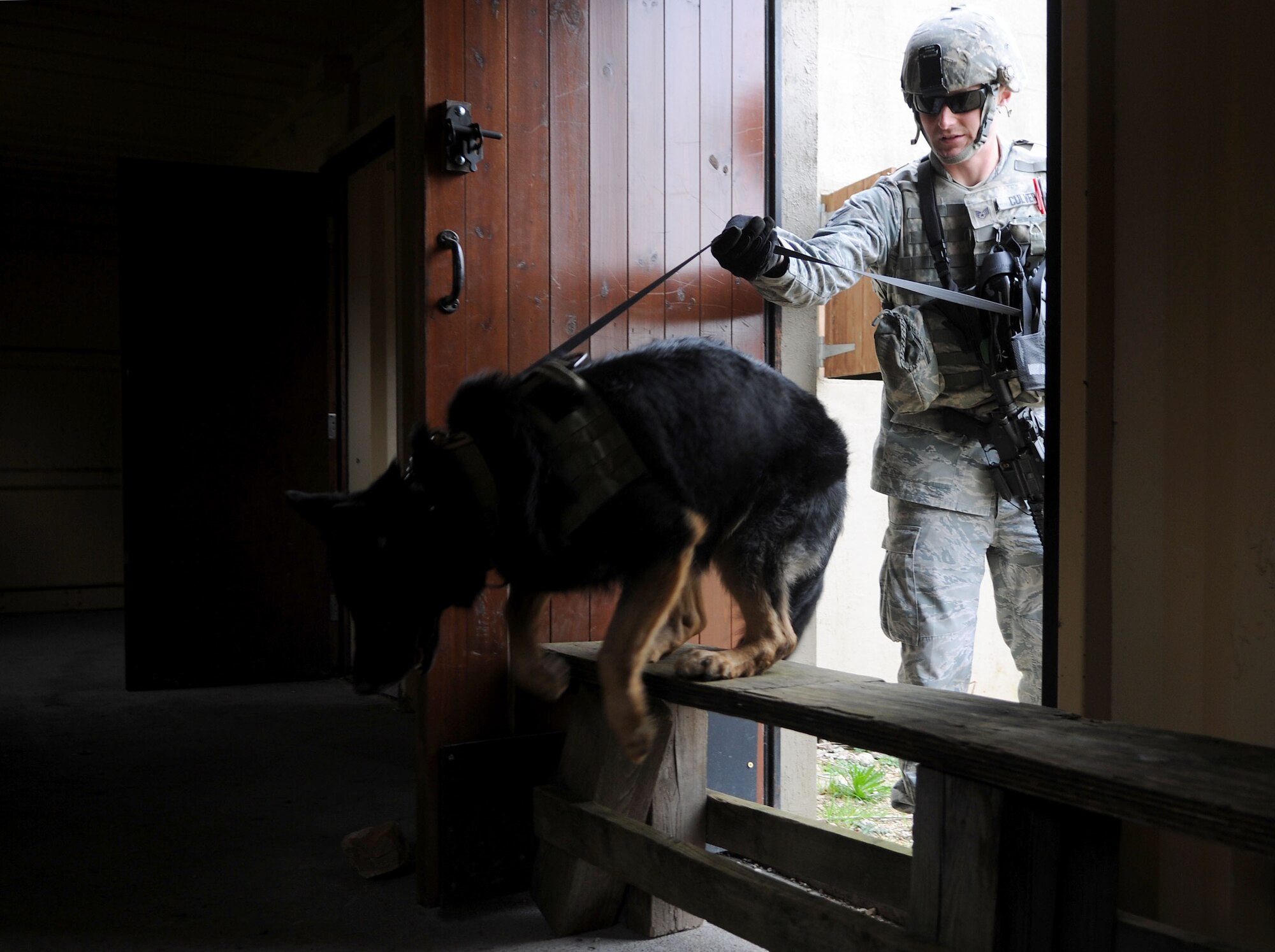 U.S. Air Force Staff Sgt. Steven Culver, 100th Security Forces Squadron Military Working Dog handler, and MWD Luc begin to search a building in a simulated village April 3, 2014, during a training exercise at Stanford Training Area near Thetford, England. Upon entering the building, MWD Luc encountered an obstacle that he overcame to get inside. The MWDs train to overcome many different situations where they may be put in awkward positions or unfamiliar areas. An MWD will gain confidence with these situations the more the team trains. (U.S. Air Force photo by Senior Airman Kate Maurer/Released)