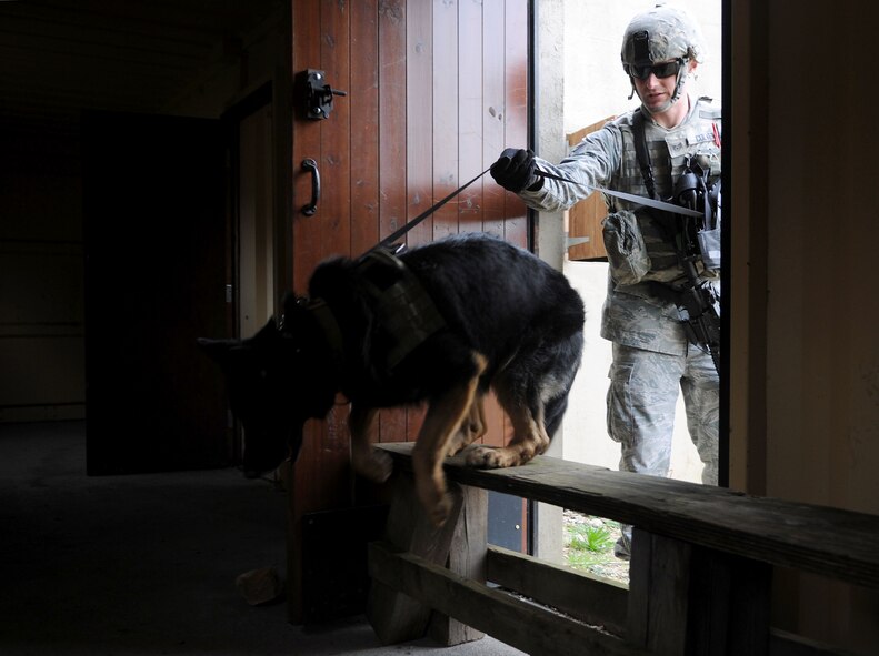 U.S. Air Force Staff Sgt. Steven Culver, 100th Security Forces Squadron Military Working Dog handler, and MWD Luc begin to search a building in a simulated village April 3, 2014, during a training exercise at Stanford Training Area near Thetford, England. Upon entering the building, MWD Luc encountered an obstacle that he overcame to get inside. The MWDs train to overcome many different situations where they may be put in awkward positions or unfamiliar areas. An MWD will gain confidence with these situations the more the team trains. (U.S. Air Force photo by Senior Airman Kate Maurer/Released)