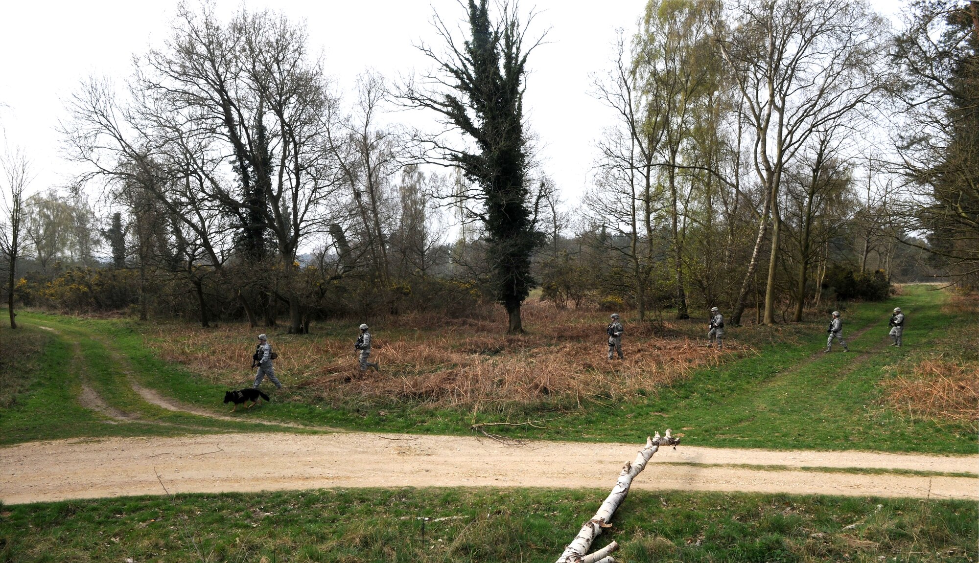 U.S. Air Force Staff Sgt. Steven Culver, left, 100th Security Forces Squadron Military Working Dog handler, and Airmen from the 48th SFS perform a dismounted patrol April 3, 2014, during a training exercise at Stanford Training Area near Thetford, England. Security forces Airmen must conduct 40 hours of combat-readiness training before attending an additional training course. The training includes land navigation, dismounted patrols and mounted patrols, small team tactics, convoy operations and fire control measures. (U.S. Air Force photo by Senior Airman Kate Maurer/Released)  