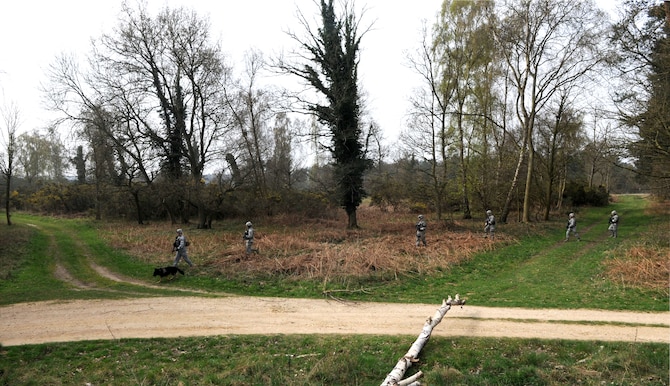 U.S. Air Force Staff Sgt. Steven Culver, left, 100th Security Forces Squadron Military Working Dog handler, and Airmen from the 48th SFS perform a dismounted patrol April 3, 2014, during a training exercise at Stanford Training Area near Thetford, England. Security forces Airmen must conduct 40 hours of combat-readiness training before attending an additional training course. The training includes land navigation, dismounted patrols and mounted patrols, small team tactics, convoy operations and fire control measures. (U.S. Air Force photo by Senior Airman Kate Maurer/Released)  