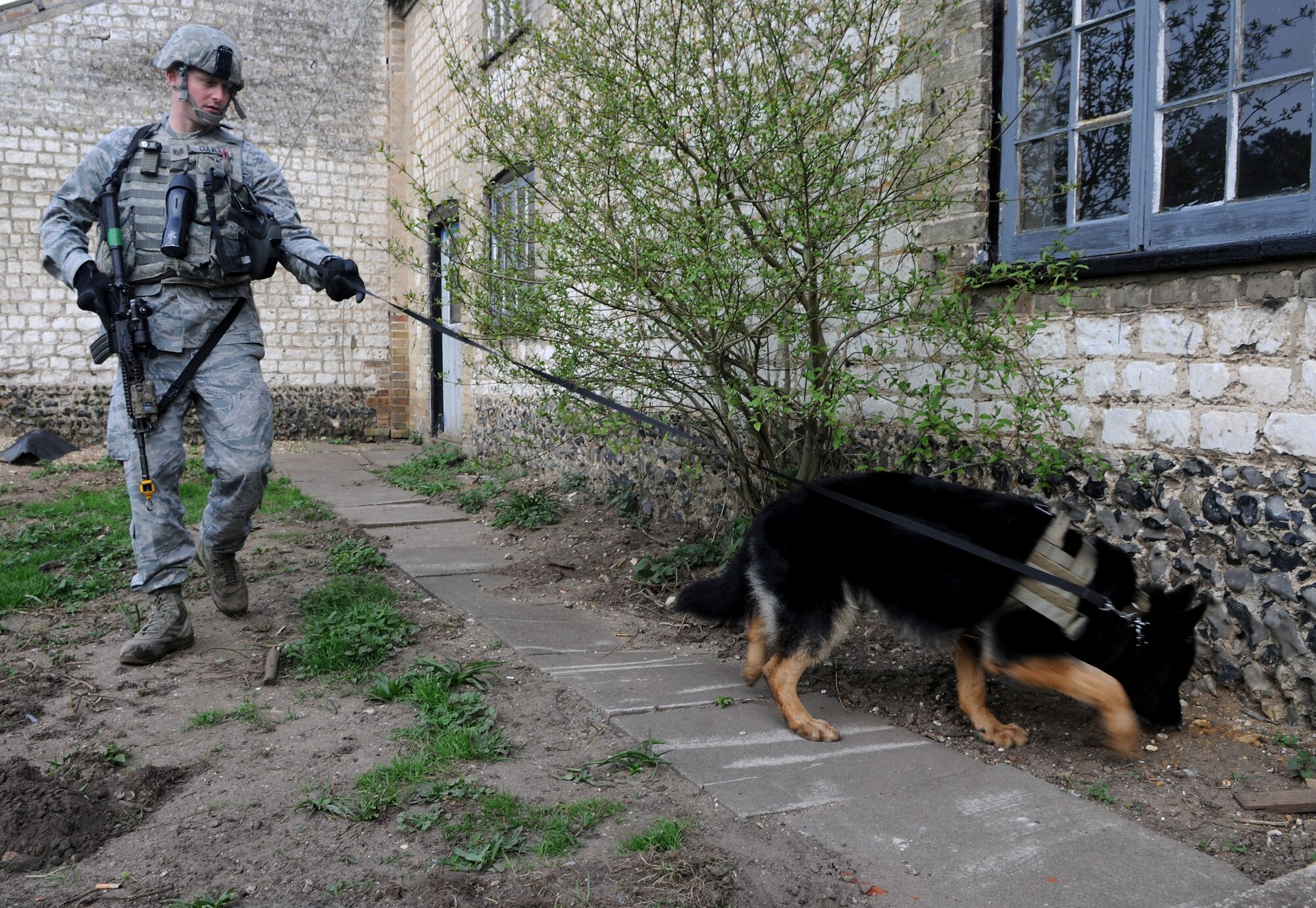 U.S. Air Force Staff Sgt. Steven Culver, 100th Security Forces Squadron Military Working Dog handler, and MWD Luc scan the outside of a building April 3, 2014, to search for any explosive or harmful material during a training exercise at Stanford Training Area near Thetford, England. MWD teams travel around the world to detect potentially harmful and deadly devices meant to cause severe damage. Before an entry team enters a building, MWD teams sweep the entire area to ensure the entry team doesn’t encouter any devices. (U.S. Air Force photo by Senior Airman Kate Maurer/Released)