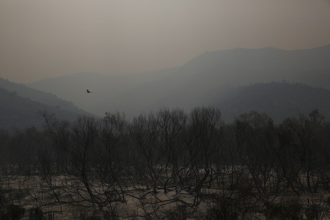 CAMP PENDLETON, Calif. - The Las Pulgas fire first reported at 3:15 p.m Thursday has grown to 8,000 acres burned and 5% containment.

The Tomahawk fire is currently listed at 6,500 acres and 15% containment.

The evacuation orders for Camp Las Pulgas, Camp Margarita, Camp Las Flores and the MASS-3 remain in effect.

The Las Pulgas gate remains closed to all traffic except emergency vehicles. Stuart Mesa Road north of Assault Craft Unit-5, Basilone Road from Marine Corps Air Station Camp Pendleton to Camp Horno, and well as Las Pulgas Road remain closed. Ammunition Road aboard Naval Weapons Station Fallbrook is also still closed.