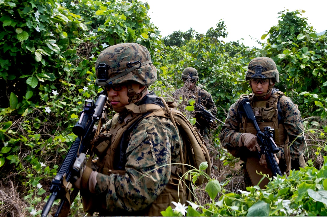 U.S. Marines and sailors move through the jungle towards their objective during an amphibious assault as part of exercise Cobra Gold 2013 here, Feb. 14, 2013. The annual exercise aims to improve interoperability between the United States, Thailand and many other participating countries. The Marines are assigned to Alpha Company, Battalion Landing Team 1st Battalion, 5th Marine Regiment, 31st Marine Expeditionary Unit. 

