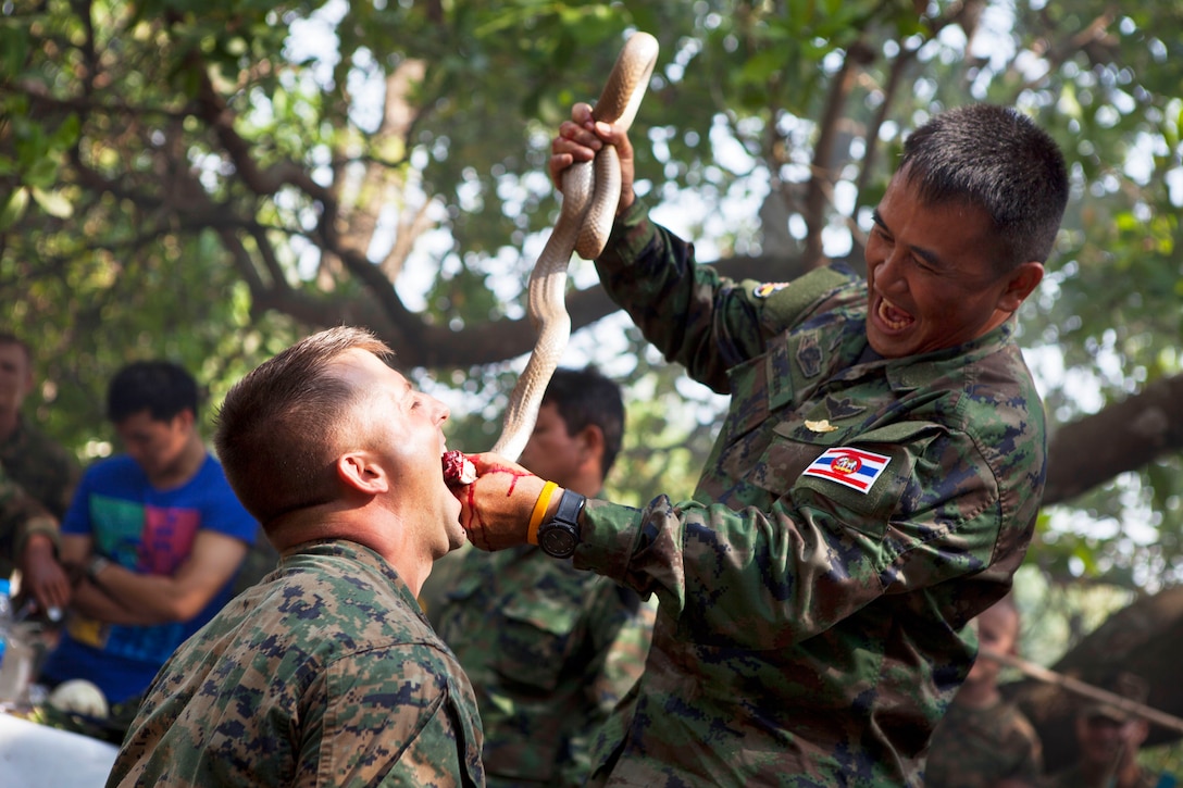 Royal Thai Marine Chief Petty Officer 1st Class Pairoj Prasansai, right, feeds cobra blood, which can be a useful source of energy, to U.S. Marine Corps Sgt. Jerry Clark during a jungle survival course in Ban Chan Krem, Chantaburi province, Kingdom of Thailand, Feb. 17, 2013. The class was to help teach U.S. Marines basic jungle survival techniques as part of Exercise Cobra Gold 2013.  
