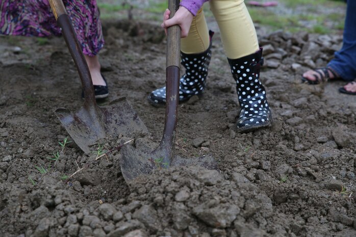 Cadettes with the Marine Corps Air Station Iwakuni Girl Scouts break ground while planting a Maple Fern Tree aboard MCAS Iwakuni, Japan, May 14, 2014. The cadettes planted the tree as an ending project for their “Breathe Journey”, a journey the cadettes took to learn about how to preserve the environment.