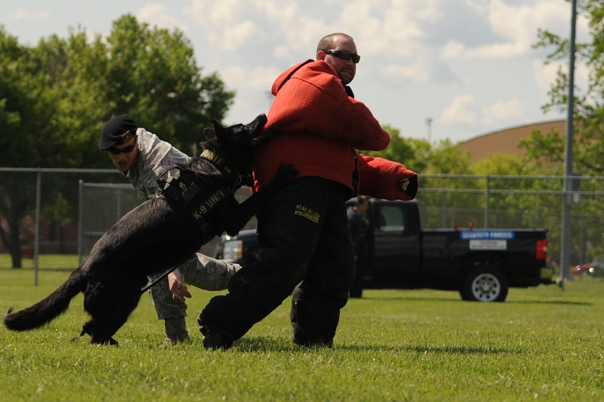 Breston, 375th Security Forces Squadron military working dog, subdues a simulated uncooperative suspect during a K-9 competition at Scott Air Force Base, Ill. on May 17, 2014. The K-9 competition brought together military working dogs and civilian working dogs to showcase the dogs' skills. (U.S. Air Force photo by Senior Airman Sarah Hall-Kirchner/Released)