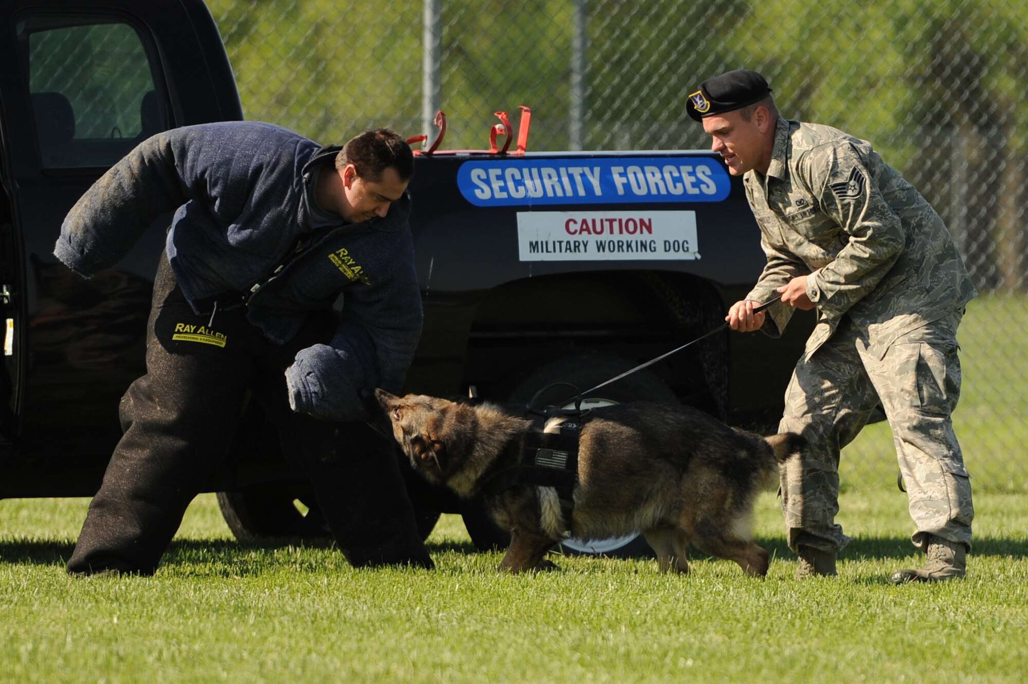 Military working dog Hapy assists Staff Sgt. Joshua Gonzalez, 375th Security Forces Squadron military working dog handler, in apprehending a simulated suspect during a K-9 competition at Scott Air Force Base, Ill. on May 17, 2014. Military and civilian K-9s came together to compete for the title of Top Dog during the Police Week K-9 competition. (U.S. Air Force photo by Senior Airman Sarah Hall-Kirchner/Released)