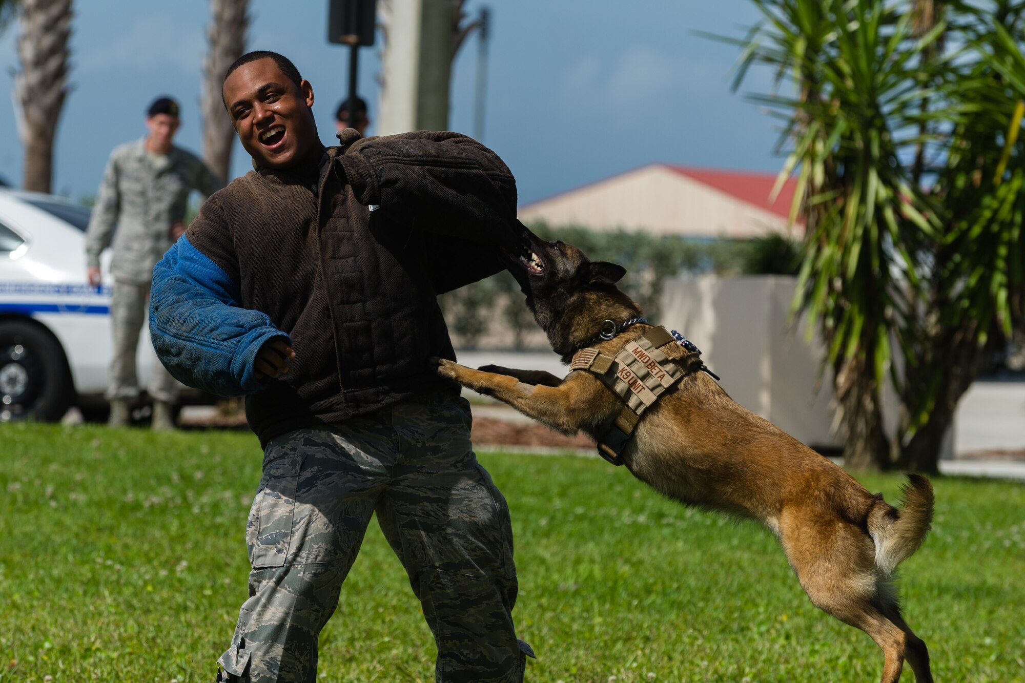 Senior Airman Malcolm Young, 45th Security Forces Squadron Military Working Dog handler, and Beta, MWD, demonstrate a patrol attack during an Open House in conjunction with Police Week at Patrick Air Force Base, Fla. May 14, 2014. More than 70 were in attendance and received a first-hand look at the holding cells, dispatch center, weapons training simulator, mobile command post, weapons display, and patrol vehicles. (U.S. Air Force photo/Cory Long)
