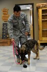 Senior Airman Storm Doromal, 341st Security Forces Squadron military working dog handler, treats his dog Aslan to a rubber chew toy after successfully completing a training exercise May 17.The exercise is used to train the handler and the dog to work as a team while also testing the dog’s skills at pinpointing potential explosives using smell alone. (U.S. Air Force photo/Airman 1st Class Collin Schmidt)