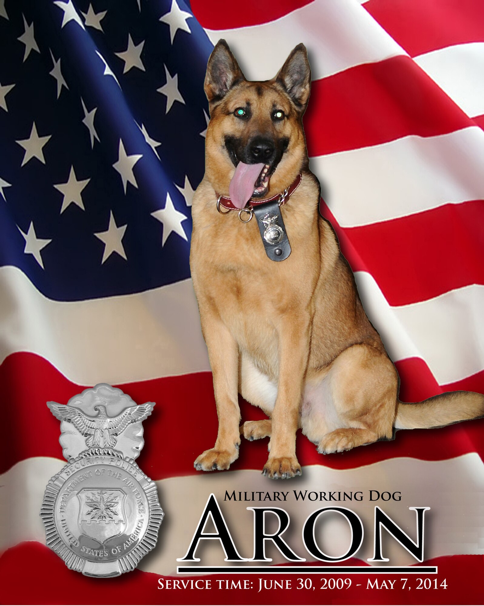 Military Working Dog Aron was honored with a memorial service May 15, 2014, at the Prairie Rose Chapel on Grand Forks Air Force Base, N.D. The canine from the 319th Security Force Squadron was humanely euthanized on May 7, 2014, after it was discovered he was dying of cancer. Aron, a Belgian Malinois, served as a patrol narcotics detector dog.  He entered service at Lackland Air Force Base, Texas, on June 30, 2009, and arrived at Grand Forks AFB, in November 2009. (U.S. Air Force photo illustration/Staff Sgt. Luis Loza Gutierrez) 
