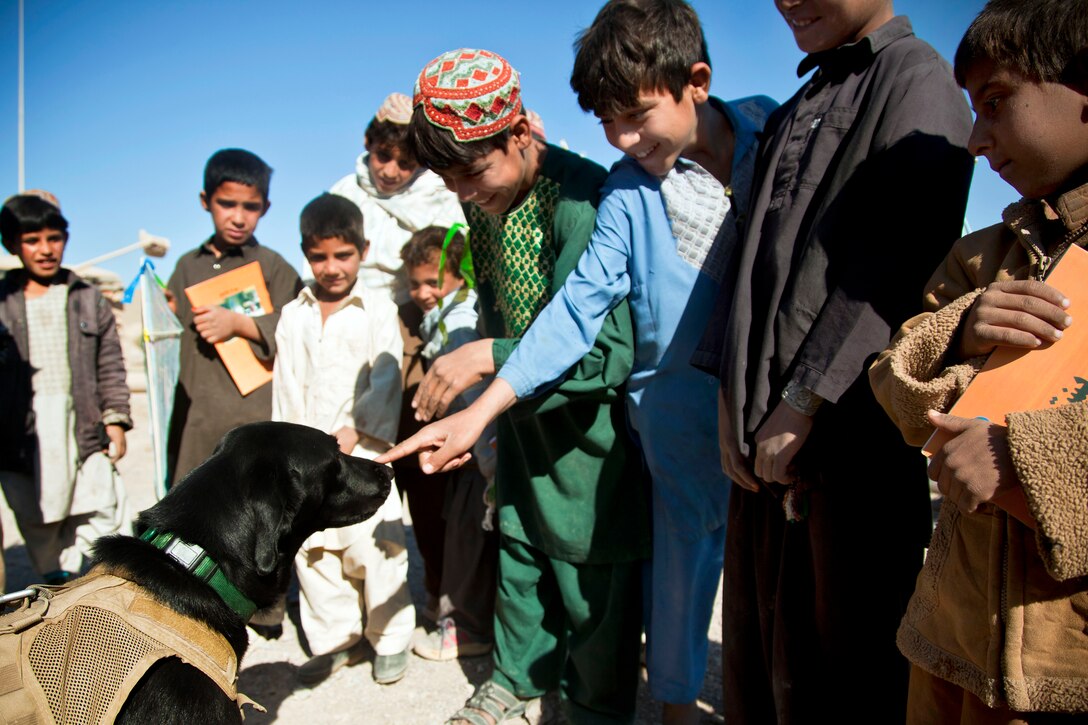 Paris, a coalition force military working dog, shows his gentler side as he interacts with children in a village in Farah province, Afghanistan, Dec. 11, 2012.  
