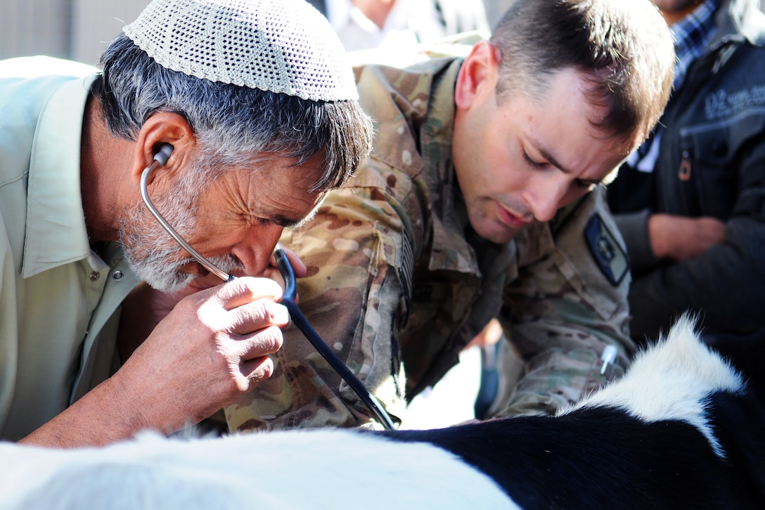 U.S. Army Capt. Shawn Basinger trains local Afghans in veterinary skills in Farah City, Afghanistan, Dec. 1, 2012. Basinger, a veterinarian, is assigned to the 438th Medical Detachment Veterinary Services.  
