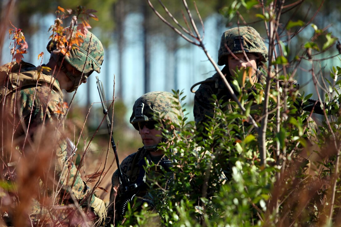 Marines radio an inbound MV-22 Osprey during a field training exercise aboard Marine Corps Base Camp Lejeune, N.C., Nov. 17, 2012. The Marines are assigned to the Special-Purpose Marine Air-Ground Task Force Africa.  
