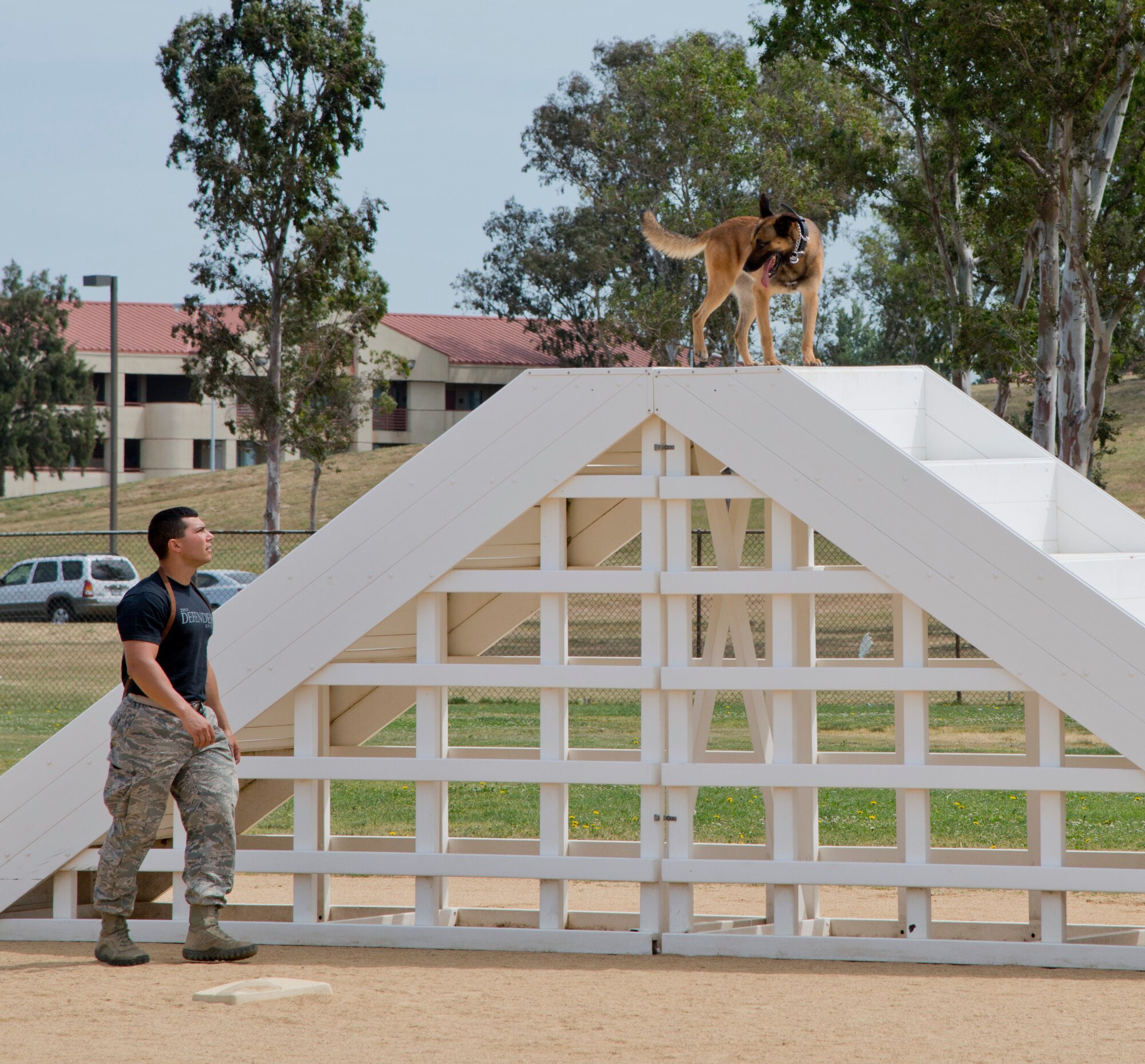 Senior Airman Andrew Hanus, 60th SFS MWD handler, and Beni, 60th Security Forces MWD, complete a portion of the agility course. (U.S. Air Force photo/Senior Airman Nicole Leidholm)