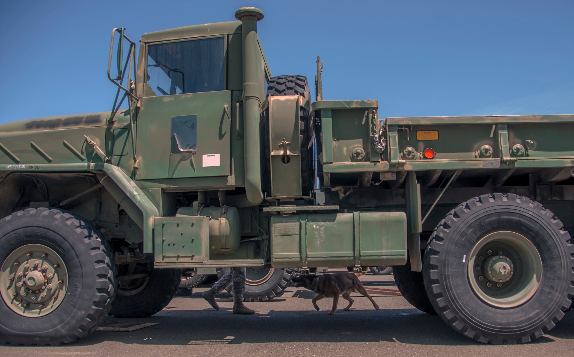 Military working dog Borat inspects various vehicles for narcotics along with handler Staff Sgt. Zahir Mohammed May 16 during the Western States Police Canine Association hosted by Travis. (U.S. Air Force photo/Senior Airman Madelyn Brown).