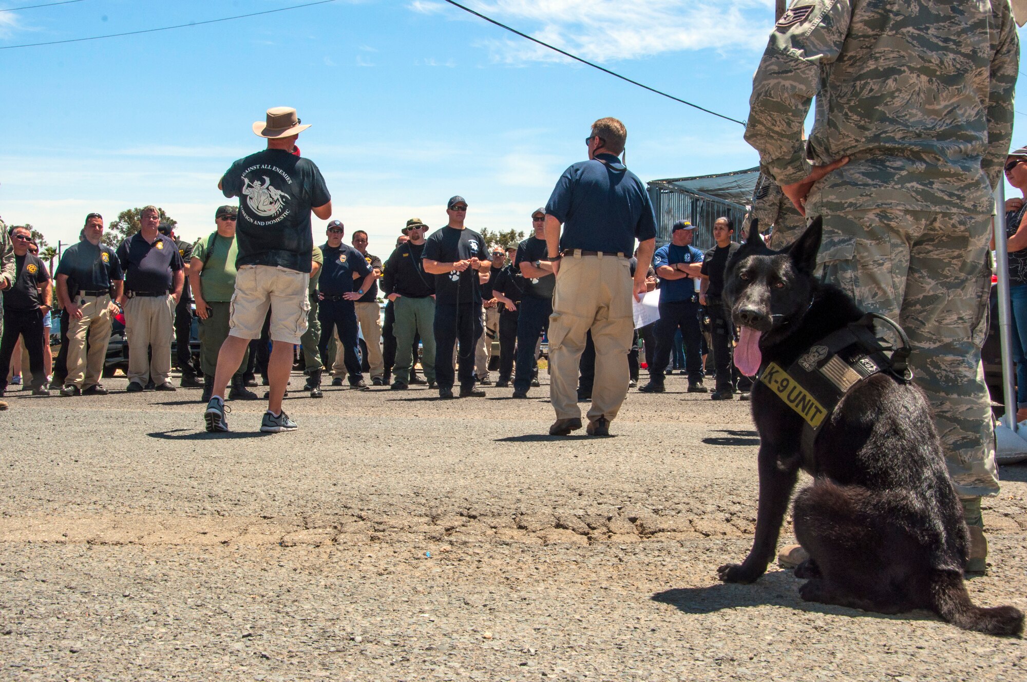 Travis military working dog Borat waits patiently as the various working dog agencies gather pre-trial to discuss the rules and processes of the Western States Police Canine Association May 16. A total of 66 competitors participated from 29 different agencies in the trial hosted by Travis. (U.S. Air Force photo/Senior Airman Madelyn Brown)