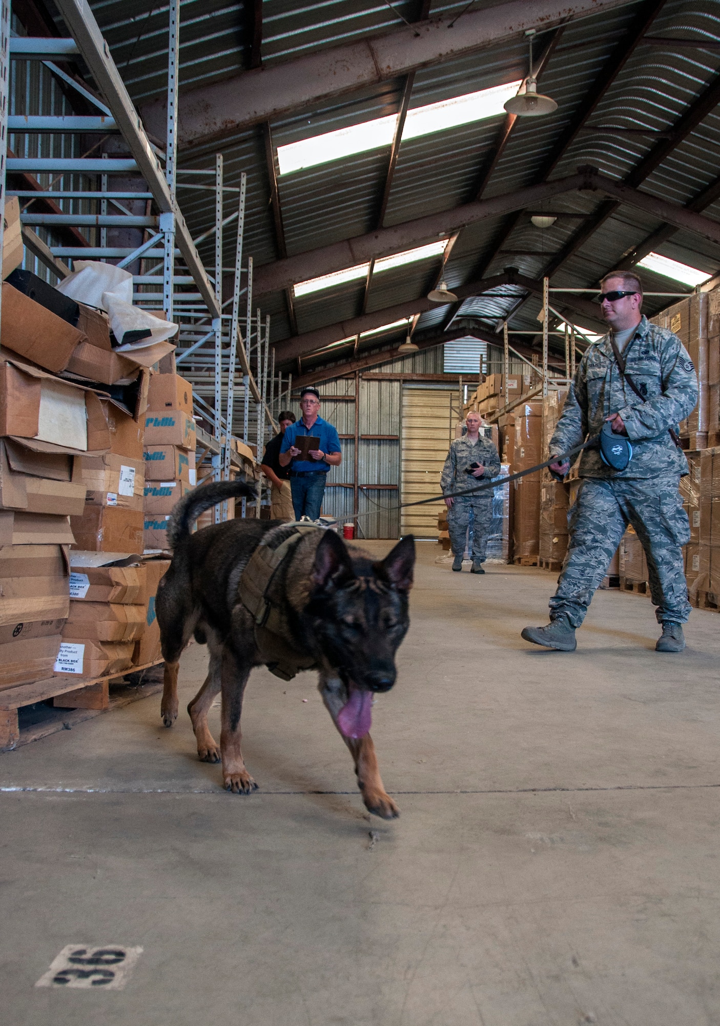 Staff Sgt. Garrett Thomsen works with Huba to find hidden narcotics May 16, 2014, during the Western States Police Canine Association trial at Travis Air Force Base, Calif. A total of 66 competitors participated from 29 different agencies in the trial. Thomsen is a 60th Security Forces Squadron military working dog handler. (U.S. Air Force photo/Senior Airman Madelyn Brown)