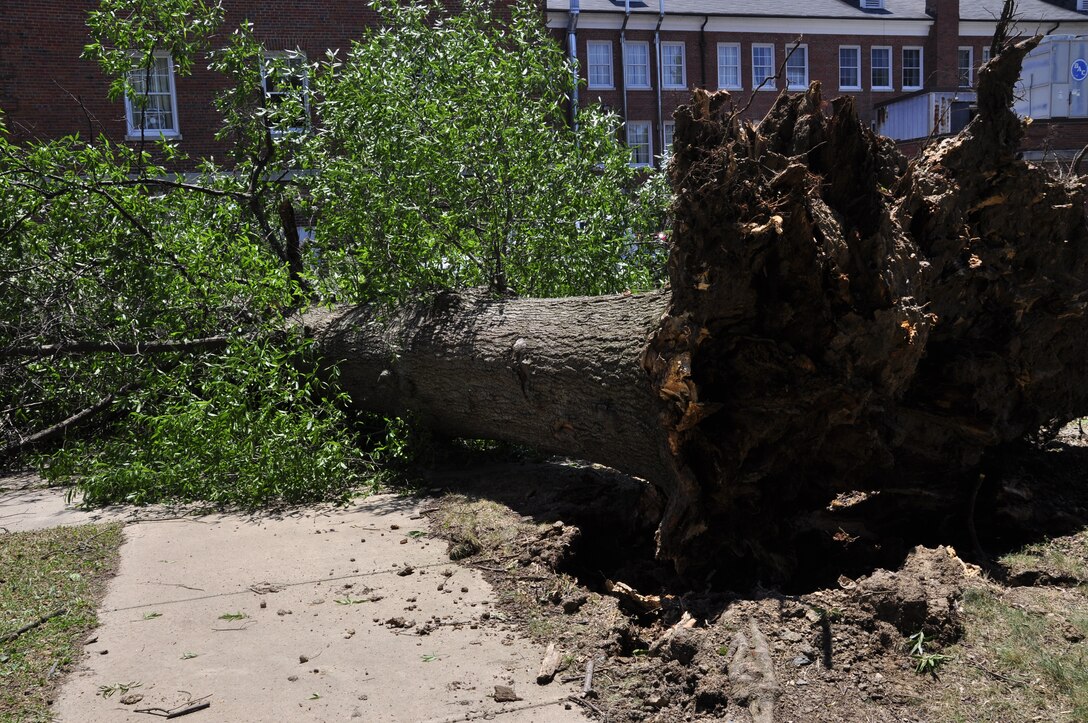 Many trees, like the one pictured, were felled when a derecho hit Marine Corps Base Quantico June 30, 2012. Storms like that one remind base commanders and staff that they need to be ready at a moment's notice for the unexpected. Col. David W. Maxwell, base commander, took that warning to heart and conducted a Destructive Weather Tabletop Exercise May 22, 2014.