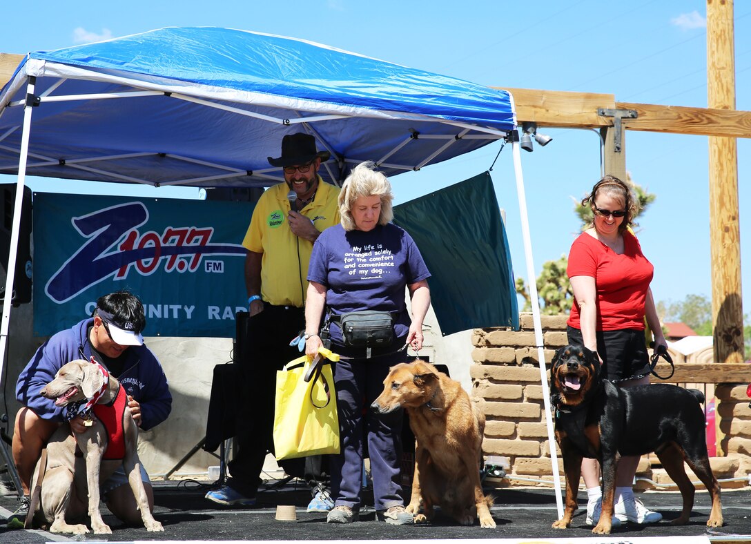 Three dogs await judging during the biggest dog contest at the 3rd Annual Woof Walk in Pioneertown, Calif., April 12, 2014. The Woof Walk is an annual event designed to raise awareness for the Morongo Basin Humane Society. (Official Marine Corps Photo By Lance Cpl. Kasey Peacock/Released)