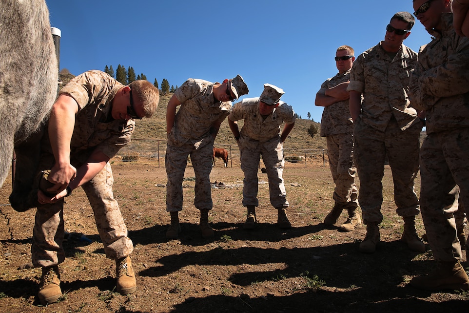 Staff Sgt. Levi Stuart, instructor, Special Operations Forces Horsemanship Cadre, Animal Packer’s Course, Marine Corps Mountain Warfare Training Center, gives a class on cleaning the inside of a hoov with a specialized pick during an animal packing refresher course hosted at the MCMWTC stables, Tuesday. The cleaning is done every day to ensure the cleanliness and safety of the animal.