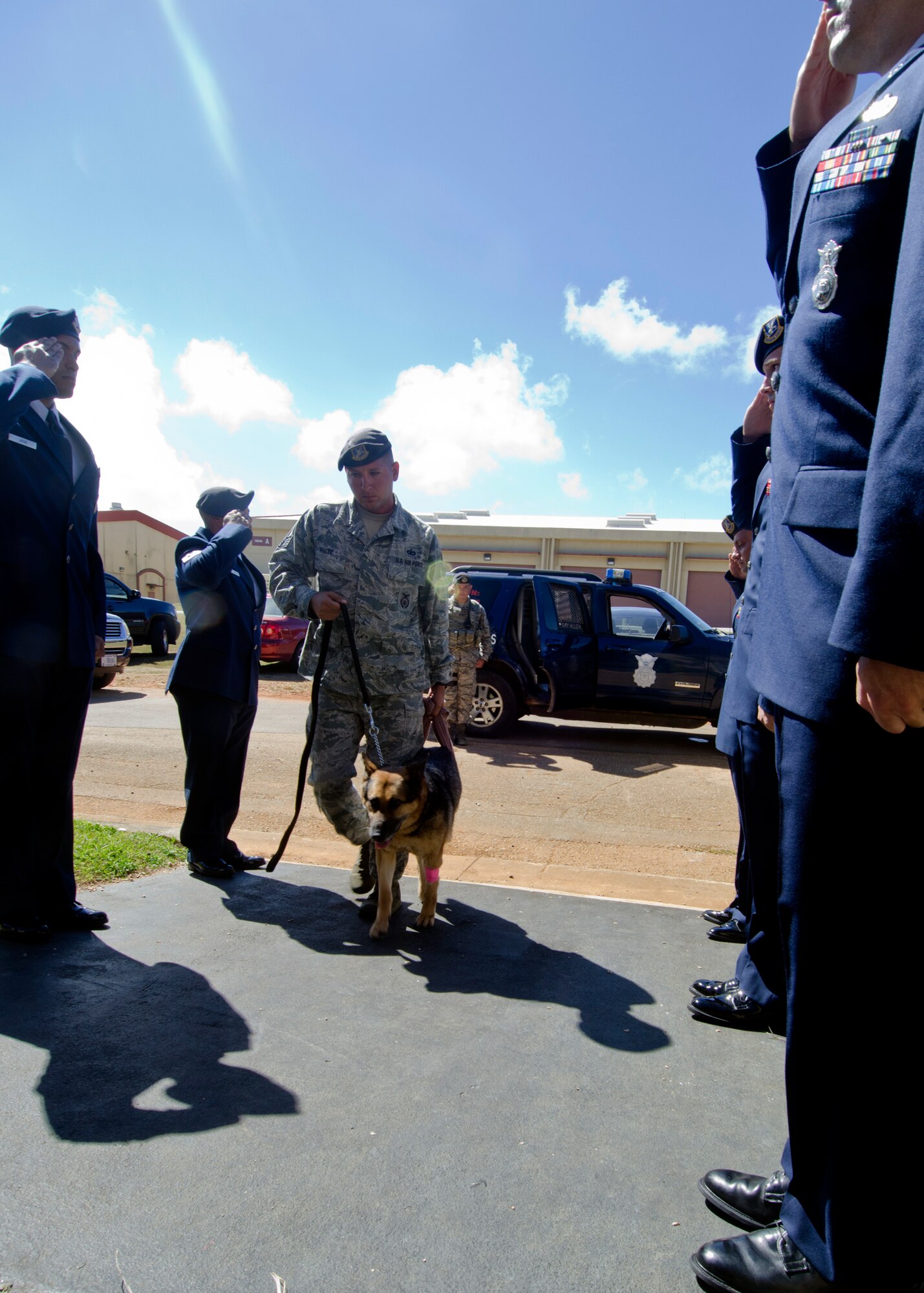 36th Security Forces Squadron military working dog handlers salute as Staff Sgt. Terry White leads Ariet, a military working dog, into the vet clinic May 15, 2014, on Andersen Air Force Base, Guam. The squadron performed military honors for Ariet before she was put to rest for medical reasons. (U.S. Air Force photo by Senior Airman Katrina M. Brisbin/Released)