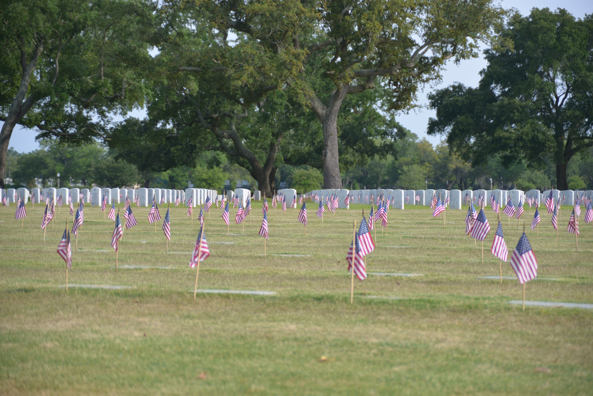 U.S. flags are posted by the headstones at the Biloxi National Cemetery where a Memorial Day ceremony took place May 26, 2014.  More than 18,000 service members and dependents are buried at the cemetery.  (U.S. Air Force photo by Richard Meuse)