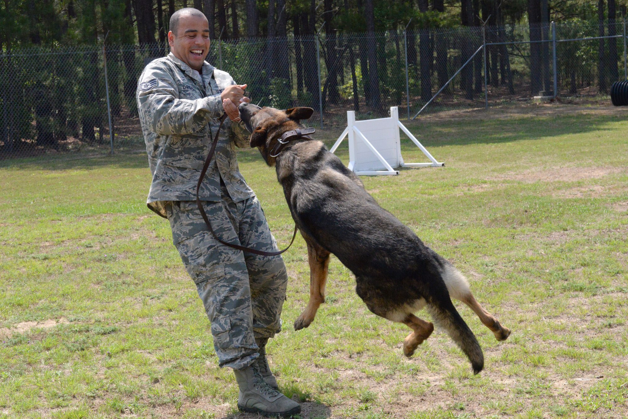 U.S. Air Force Staff Sgt. Anthony Despins, 20th Security Forces Squadron military working dog handler, plays with Jasko V095, 20th SFS MWD, at Shaw Air Force Base, S.C., May 27, 2014. Jasko, a 100 pound German Shepherd, is spot checked every day for injury, bug bites, or ailments the dog may have suffered over night or away from their handler. 20th SFS MWD handlers urge pet owners to do the same with their dogs to keep them happy and healthy. (U.S. Air Force photo by Airman 1st Class Diana M. Cossaboom/Released)