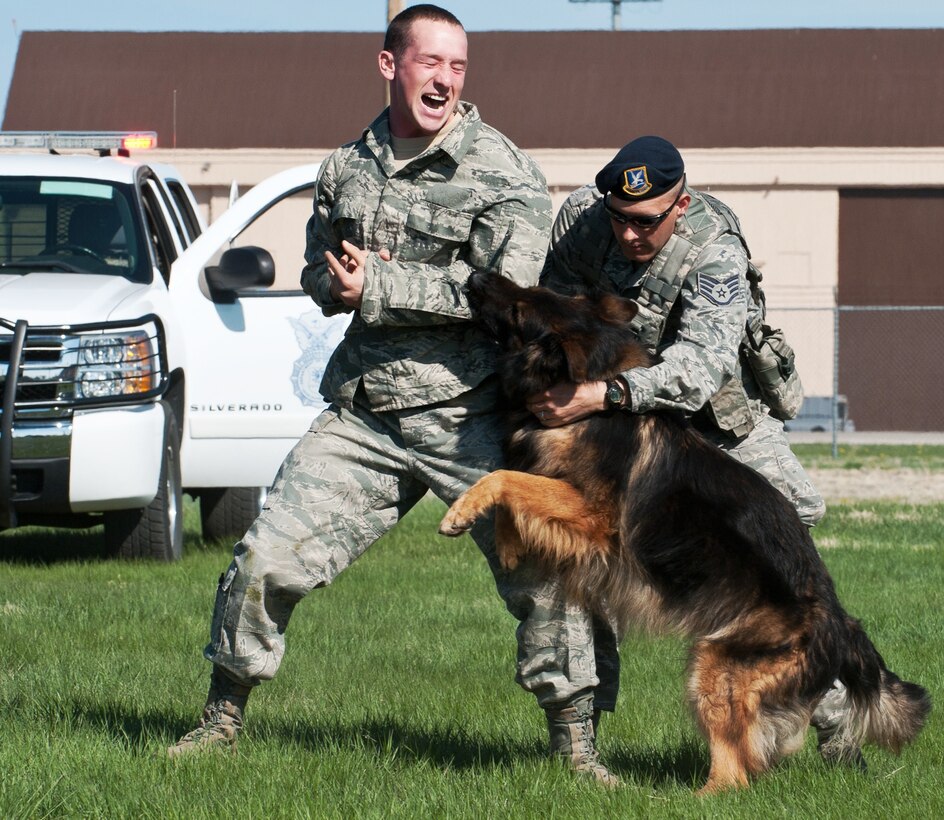 Staff Sgt. Mark Sidle (right), 28th Security Forces Squadron military working dog handler, calls off his dog, Arco, during an apprehension demonstration on a decoy, Senior Airman Jared Poe, 28th SFS military working dog handler, done as part of Spouse Appreciation Day at Ellsworth Air Force Base, S.D., May 10, 2013. Event planners are working to have similar demonstrations along with static display aircraft, food and entertainment as part of Ellsworth's Black Hills Community Appreciation Day Aug. 16, 2014. (U.S. Air Force photo by Senior Airman Alystria Maurer/Released) 