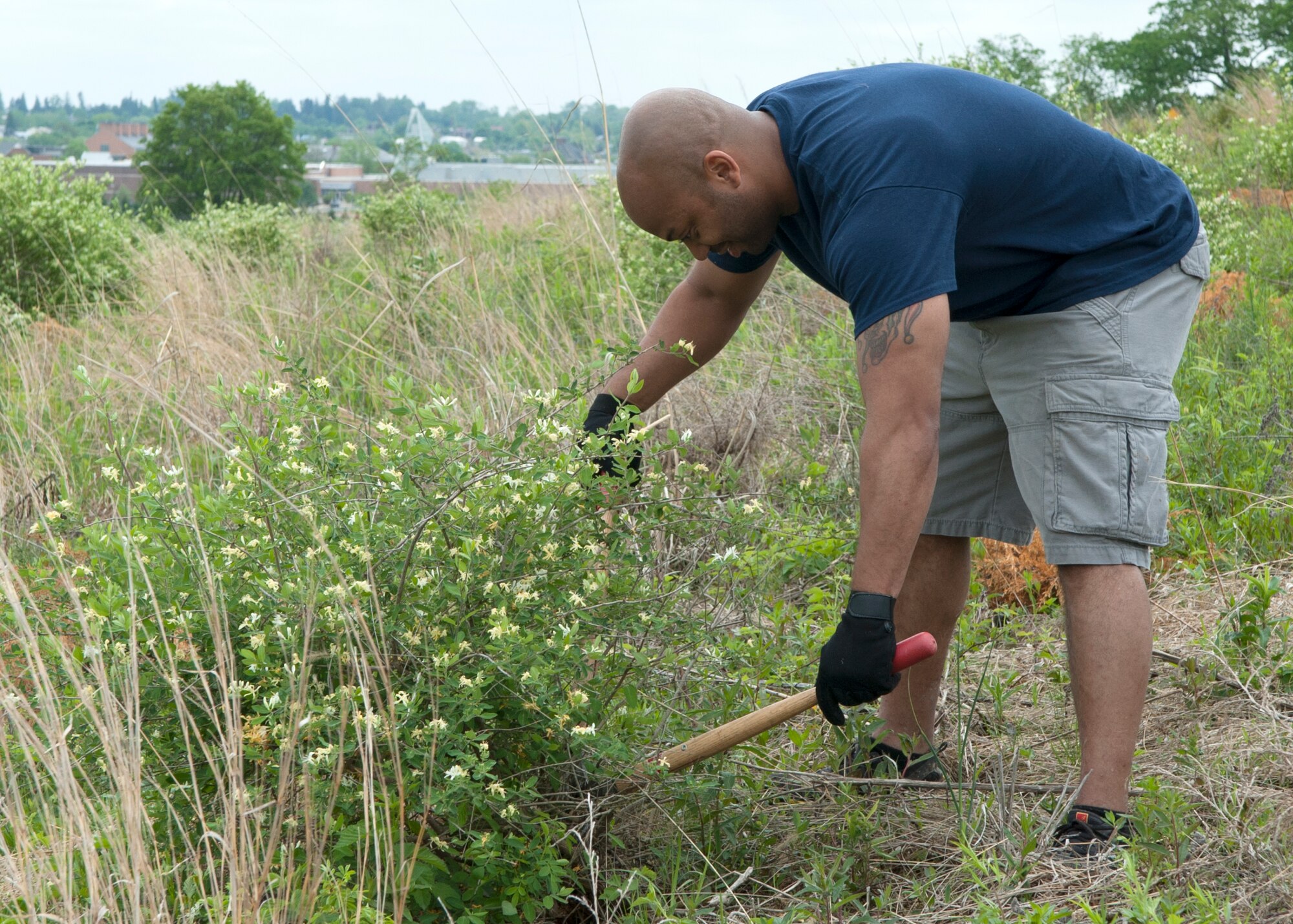 Master Sgt. Jamie Beard, 436th Operations Support Squadron aircrew flight equipment flight chief, cuts down a small bush during an organized Team Dover clean-up project May 16, 2014, at Gettysburg National Military Park in Gettysburg, Pa. Beard, the event coordinator, headed a group of 45 Team Dover Airmen. (U.S. Air Force photo/Airman 1st Class Zachary Cacicia) 