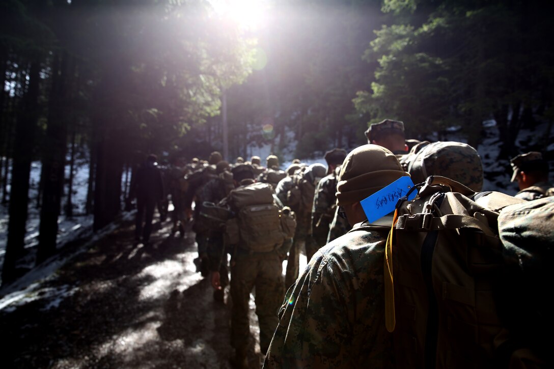 Marines and sailors with Black Sea Rotational Force 14 from 3rd Battalion, 8th Marine Regiment hike up a mountain during a mountain training exercise with Romanian soldiers of the 17th Mountain Troop Bn. during Exercise Platinum Lynx in the Carpathian Mountains, May 7, 2014. Exercise Platinum Lynx 14-5 is a bilateral exercise between the United States Marines and sailors, and Romanian Land Forces, designed to build familiarity and interoperability between the United States and their Romanian allies through squad and platoon level infantry training. (Official Marine Corps photo by Lance Cpl. Scott W. Whiting, BSRF PAO/ Released)