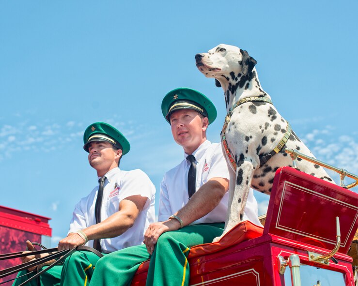 Celebrating their 81st anniversary with Anheuser-Busch the Budweiser Clydesdales visit the Niagara Falls Air Reserve Station May 24, 2014, Niagara Falls, N.Y. The team of eight horses made their way through base stopping by the flightline to welcome home deployed members of the 914th Airlift Wing (U.S. Air Force photo by Tech. Sgt. Joseph McKee)