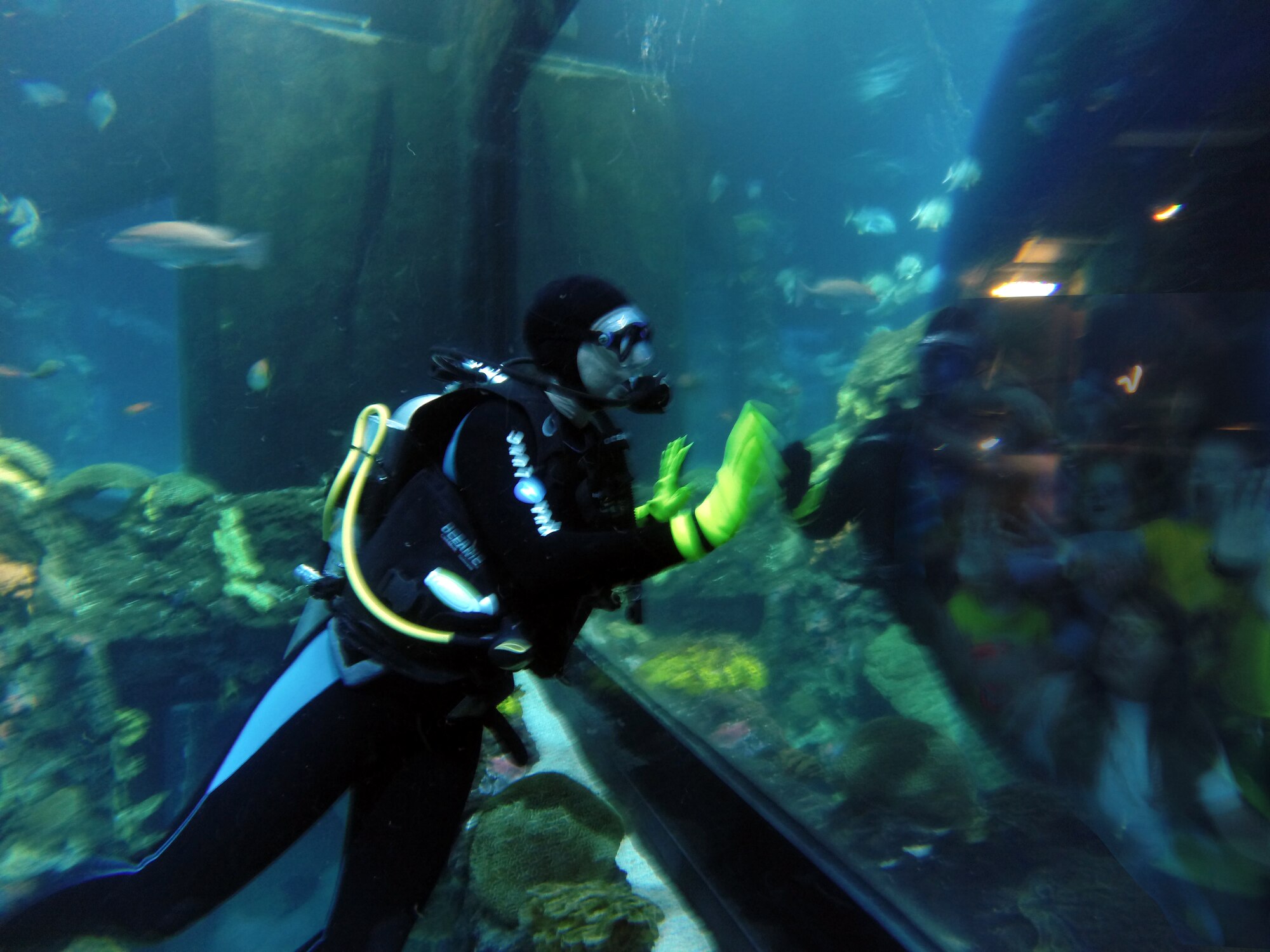Mary Fedde, an AEDC physicist and a Tennessee Aquarium volunteer diver, takes her turn diving in the Ocean Journey Secret Reef tank. She waves “hello” to the aquarium visitors on the other side of the glass. (Photo provided)