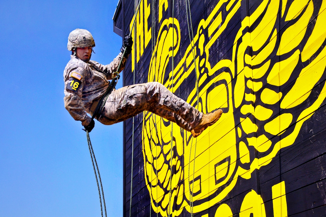 A soldier rappells down a tower during the Toughest Air Assault Soldier Competition during Week of the Eagles 2012 on Fort Campbell, Ky., Aug. 15, 2012. The soldier is assigned to the 101st Airborne Division's 2nd Brigade Combat Team. The overall event tested soldiers' physical endurance and tactical knowledge of aerial operations. 
