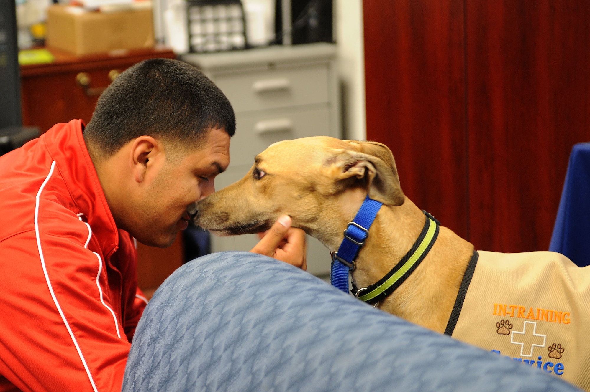 A wounded warrior pets a service dog during an event held by Air Force Wounded Warrior program at Davis-Monthan Air Force Base, Ariz., Oct. 10, 2013. The Air Force Wounded Warrior program helps veterans and their families who struggle after receiving mental or physical injuries. (U.S. Air Force photo by Airman 1st Class Saphfire Cook/Released)