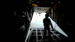 Six 103rd Rescue Squadron pararescue jumpers (PJs) launch from an HC-130 aircraft at the Jones Beach Air Show May 24, 2014.  Piloted by the 102nd RQS, the 103rd PJs completed a 1,500 feet static line drop from the HC-130. 
